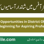 Commissioner Lower Dir Office Jobs 2025 by ETEA