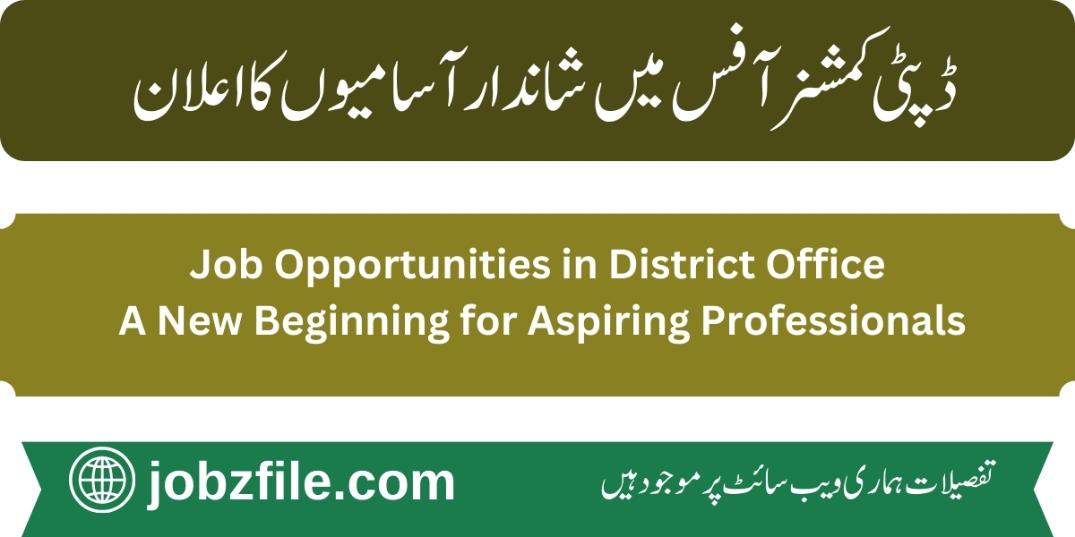 Commissioner Lower Dir Office Jobs 2025 by ETEA