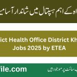 District Health Office District Khyber Jobs